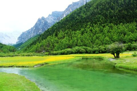 广东抽检上千篇硕士学位论文 7篇被认定为&ldquo;存在问题&rdquo;