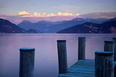 跳蚤咬了擦什么消肿快