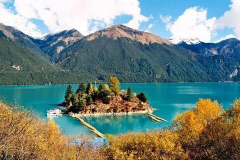 跳蚤咬了会不会携带病毒