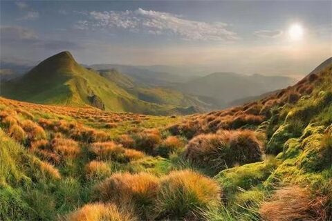 鸡胸肉是否含有大量激素