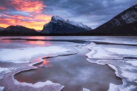 墙体发霉致癌吗