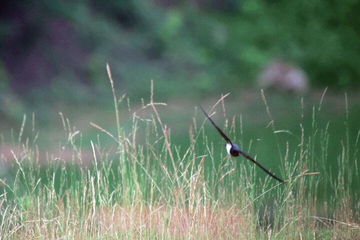 ​更年期女性慎服雌激素保健品 小心子宫肌瘤越长越大