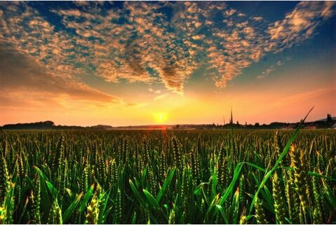 iPhone 14 Pro配置定了！8G内存 确定无刘海